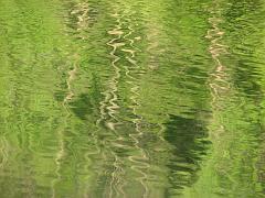 lakes (268)